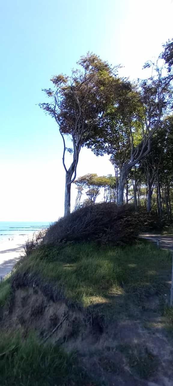 Familienurlaub Mit Hund An Der Ostsee Admannshagen-Bargeshagen Ngoại thất bức ảnh