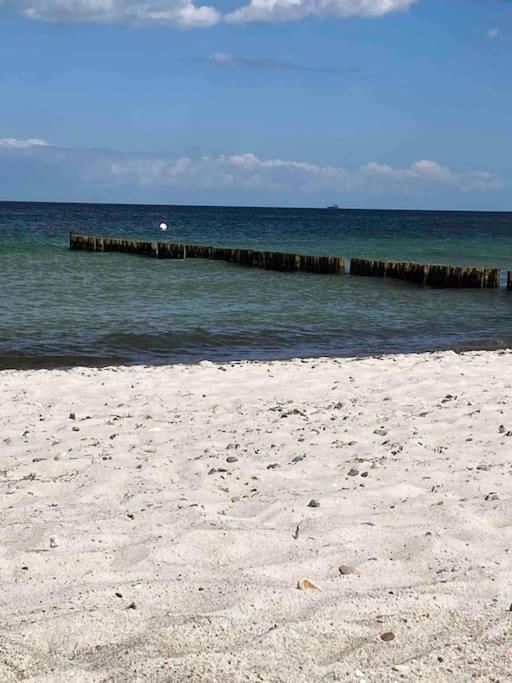 Familienurlaub Mit Hund An Der Ostsee Admannshagen-Bargeshagen Ngoại thất bức ảnh