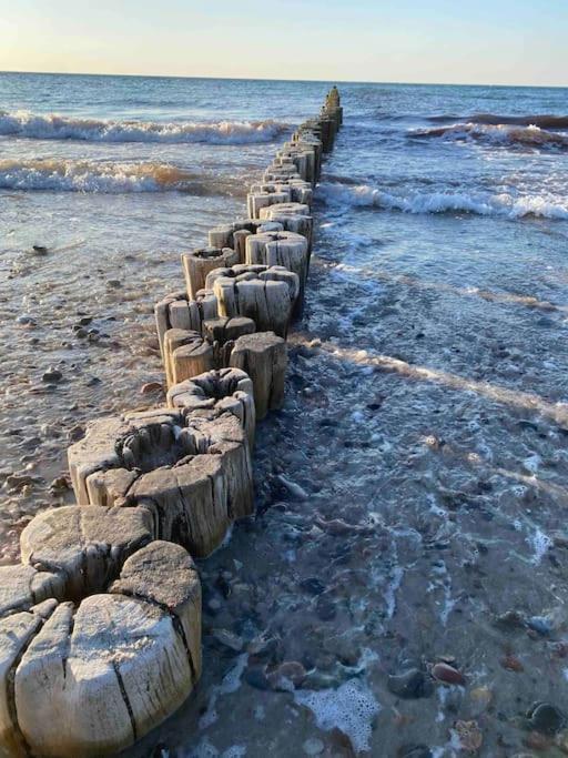 Familienurlaub Mit Hund An Der Ostsee Admannshagen-Bargeshagen Ngoại thất bức ảnh